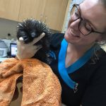 a girl holding a black animal inside the clinic