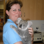 koala carried by a girl